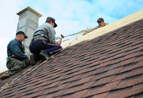Best Storm Damage Roof Repair  in Duquesne, PA